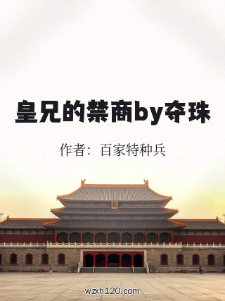 皇兄的禁商by夺珠