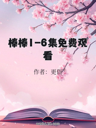 棒棒1-6集免费观看