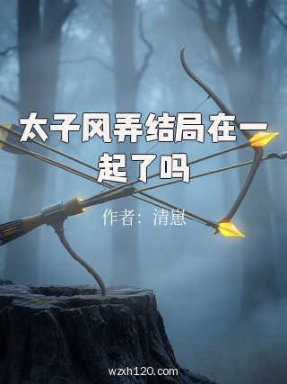 太子风弄结局在一起了吗