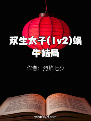 双生太子(1v2)蜗牛结局