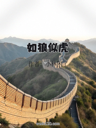 如狼似虎
