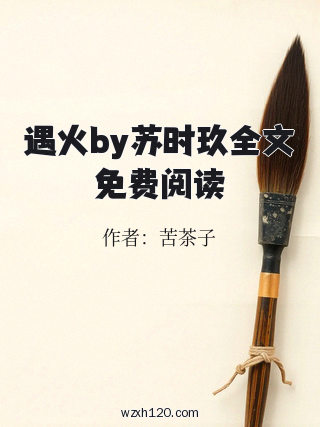 遇火by苏时玖全文免费阅读