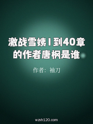 激战雪姨1到40章的作者唐枫是谁