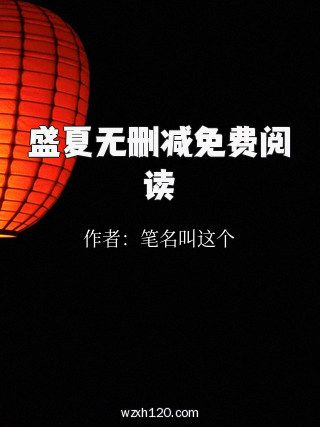 盛夏无删减免费阅读