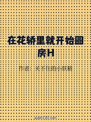 在花轿里就开始圆房H