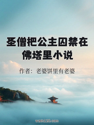 圣僧把公主囚禁在佛塔里小说