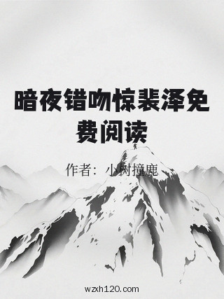 暗夜错吻惊裴泽免费阅读