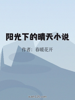阳光下的晴天小说