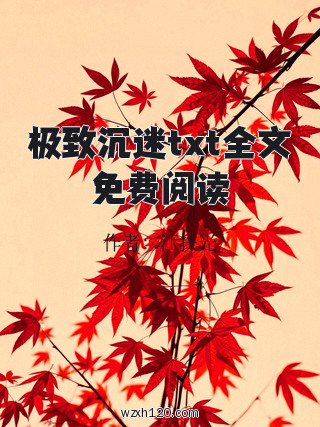 极致沉迷txt全文免费阅读