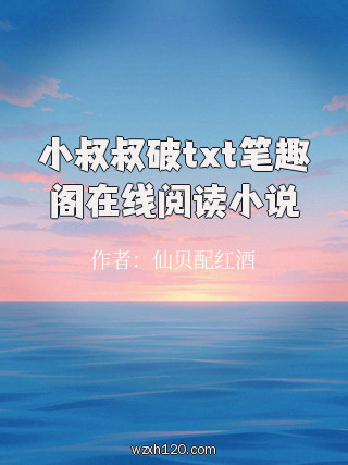 小叔叔破txt笔趣阁在线阅读小说