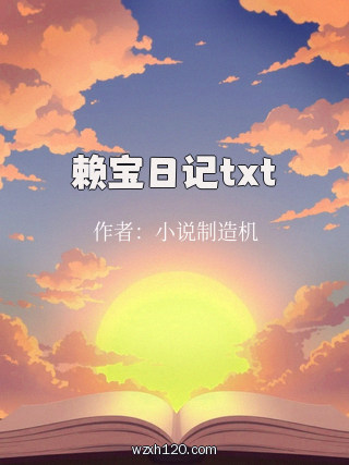 赖宝日记txt