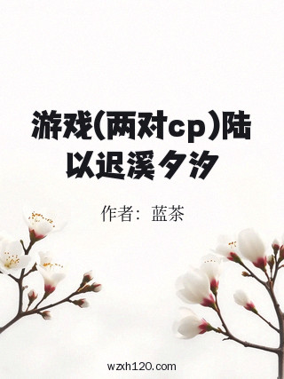 游戏(两对cp)陆以迟溪夕汐