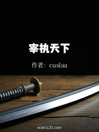宰执天下