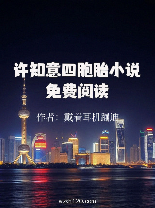 许知意四胞胎小说免费阅读