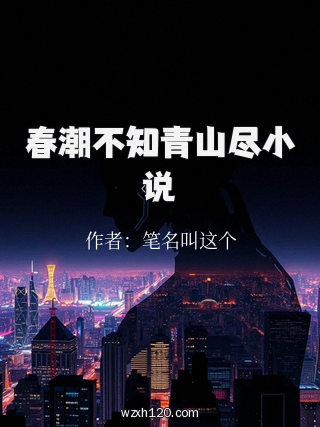 春潮不知青山尽小说