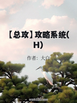 【总攻】攻略系统(H)