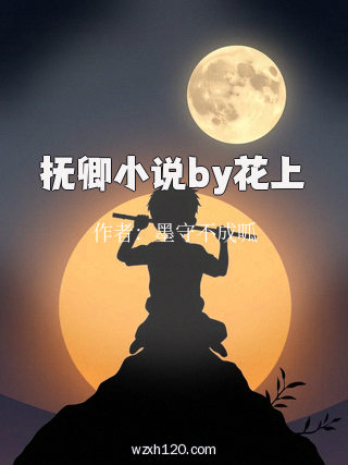 抚卿小说by花上