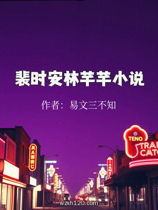 裴时安林芊芊小说
