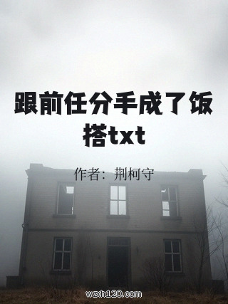 跟前任分手成了饭搭txt