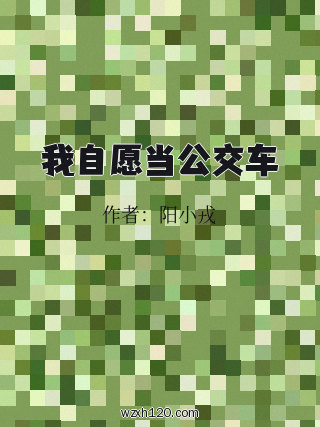 我自愿当公交车