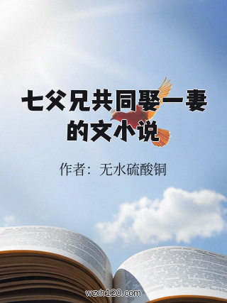 七父兄共同娶一妻的文小说