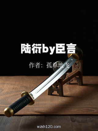 陆衍by臣言