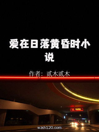 爱在日落黄昏时小说