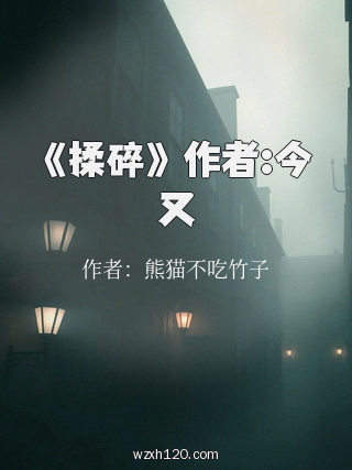 《揉碎》 作者:今又