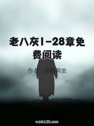 老八灰1-28章免费阅读