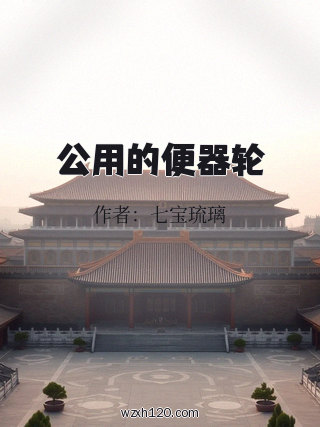公用的便器轮