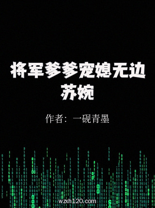 将军爹爹宠媳无边苏婉