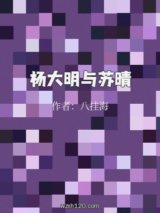 杨大明与苏晴