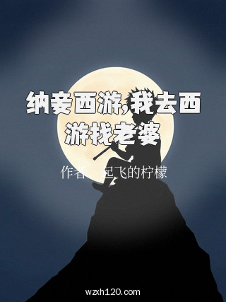 纳妾西游,我去西游找老婆