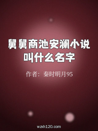 舅舅商池安澜小说叫什么名字