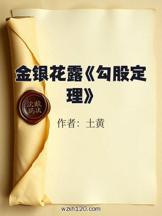 金银花露《勾股定理》