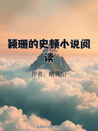 颖珊的史顿小说阅读