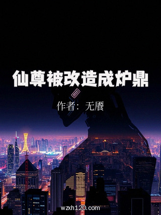 仙尊被改造成炉鼎