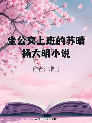 坐公交上班的苏晴杨大明小说