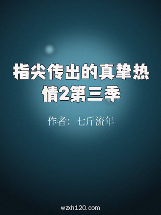 指尖传出的真挚热情2第三季