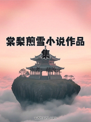 棠梨煎雪小说作品集