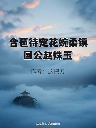 含苞待宠花婉柔镇国公赵姝玉