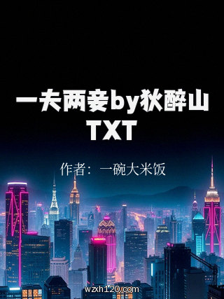 一夫两妾by狄醉山TXT