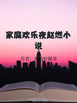 家庭欢乐夜赵燃小说