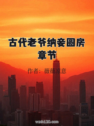 古代老爷纳妾圆房章节