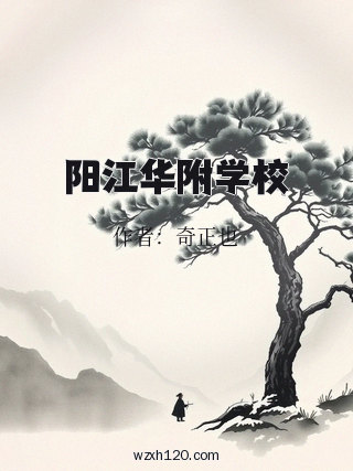 阳江华附学校