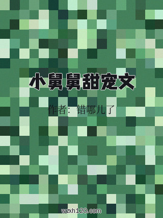 小舅舅甜宠文