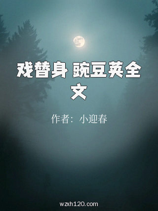 戏替身 豌豆荚全文