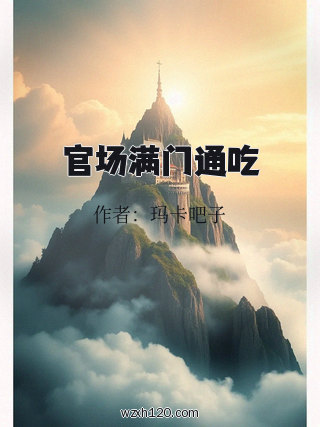 官场满门通吃