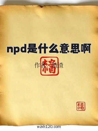 npd是什么意思啊