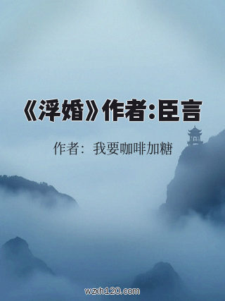 《浮婚》作者:臣言